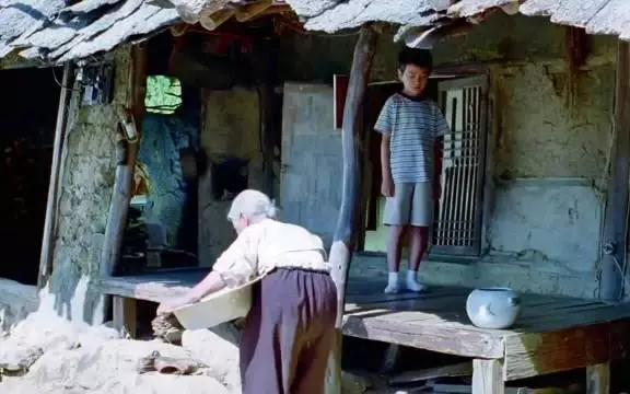 每一次看都会哭，失去才知珍惜