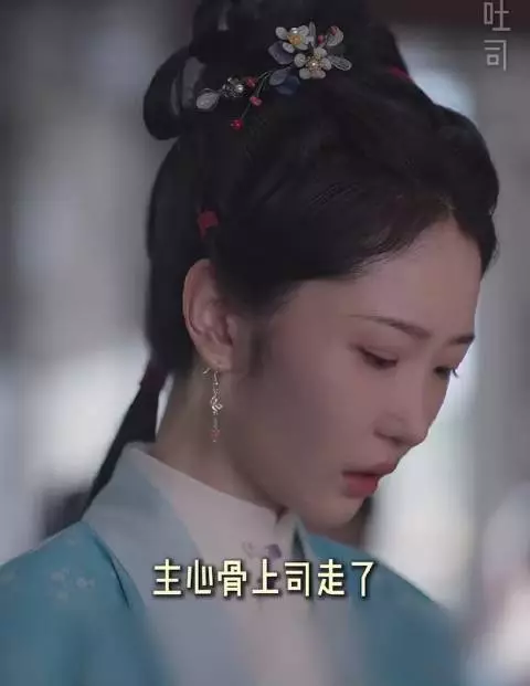 兰香如故｜紫堇全世界最想念青葙之人