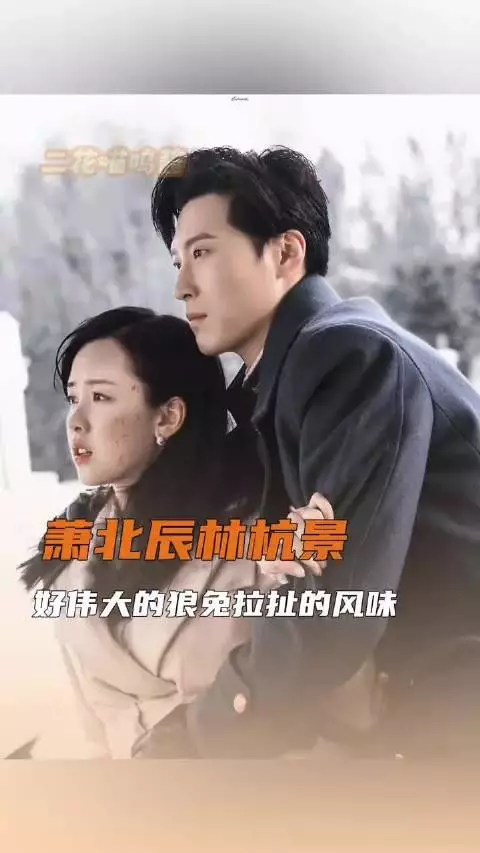 这真不怪这么多年我一直走不出啊！陈都灵 林杭景萧北辰