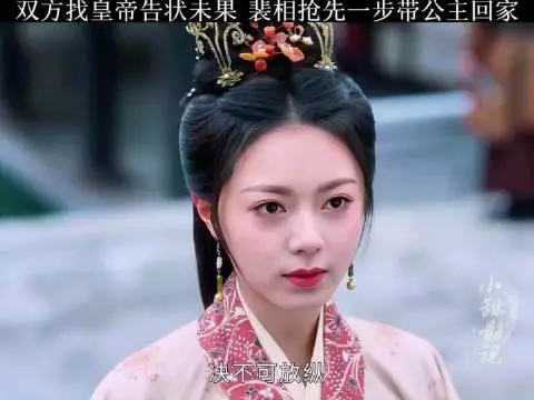 公主大臣找皇帝告状未果，裴相抢先一步带公主回家 度华年 赵今麦 张凌赫