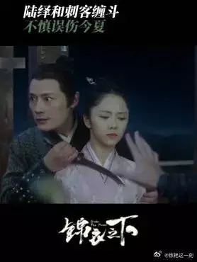 陆绎和刺客缠斗 不慎误伤今夏，这下糟了