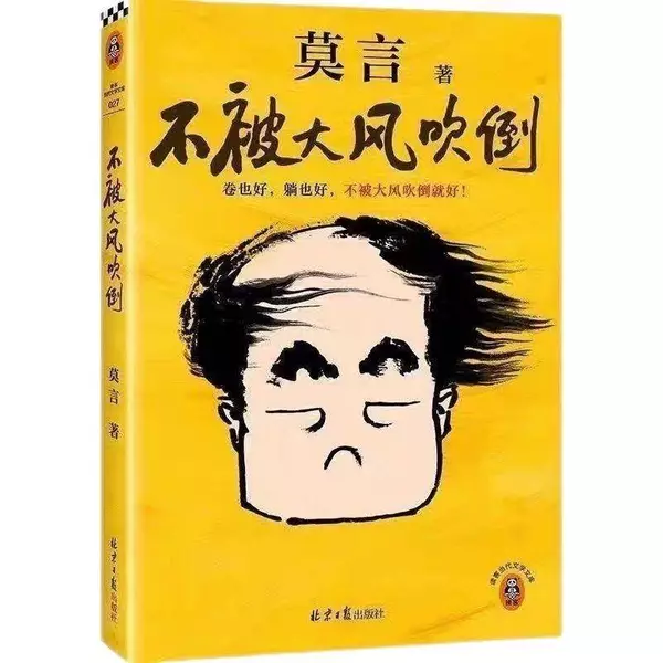 《不被大风吹倒》读完，我放下了内耗的执念
