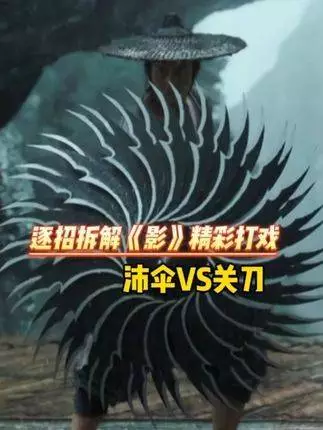 沛伞VS关刀，逐招拆解影精彩打戏