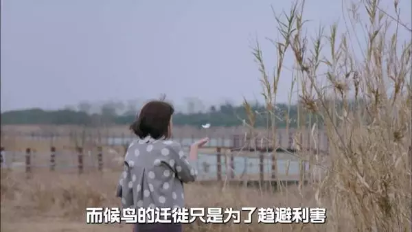 唐艺昕演甄嬛传祺贵人又蠢又美,告发熹贵妃私通名场面