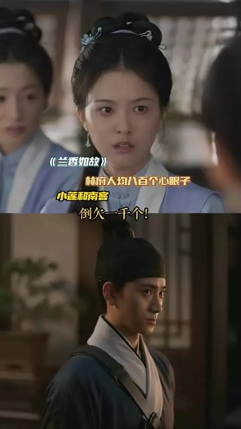 林府人均八百个心眼子,小莲和南客两口子倒欠一千个