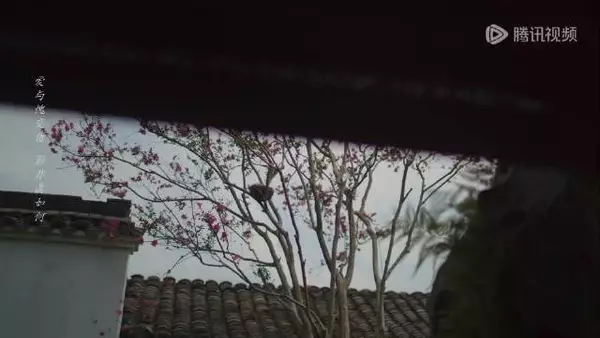 兰香如故片段引共鸣,主角带奖金离开公司一家人开心