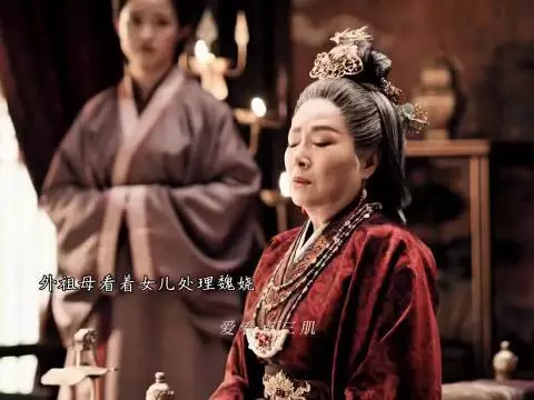 嫁金钗寿安君不站队加害魏娆反对周芙做法