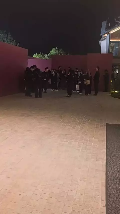 赵露思走完红毯后被冻的握起了小拳头