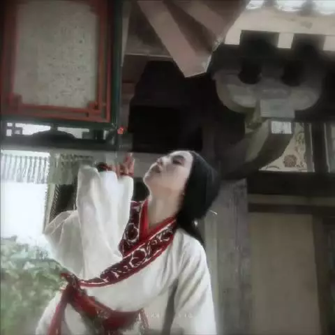 卫月夫妇真可爱