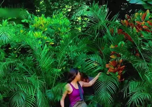 空难流落神秘荒岛,幸存者的诡异求生