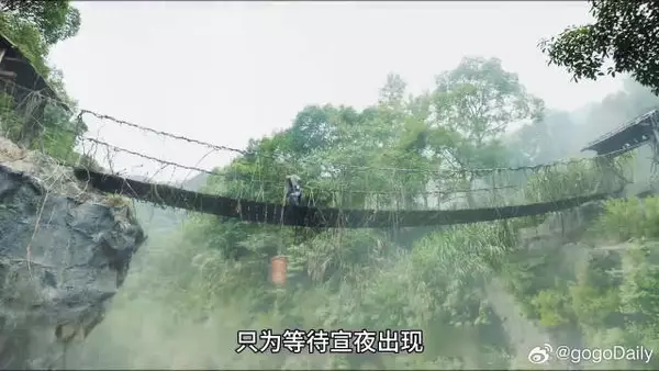 黑豹向女子求救，诡异一幕上演