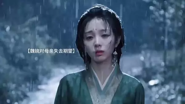 田曦薇魏娆从头到尾没人为她撑过一把伞