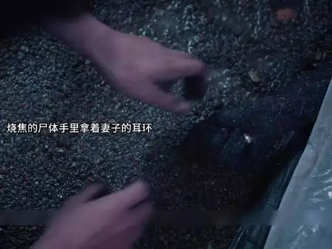 发现和妻子长得一模一样的女人，萧北辰反复试探
