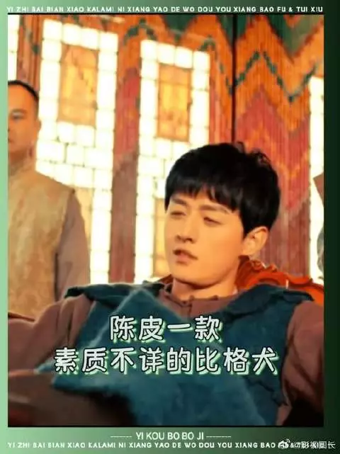 陈皮比格塑最成功的一集！