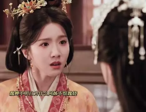 嫁金钗魏姝王妃位捡漏魏娆 反派上线