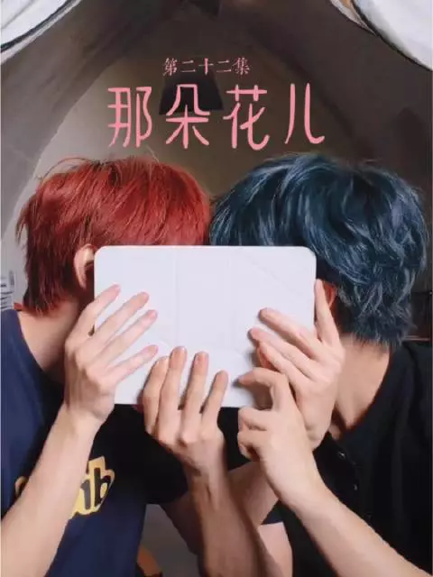 那就去花店碰碰运气吧 也许有他喜欢的花儿 （双视角解析—温馨向）