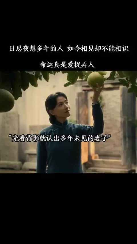 日思夜想多年的人如今相见却不能相识,命运真是爱捉弄人