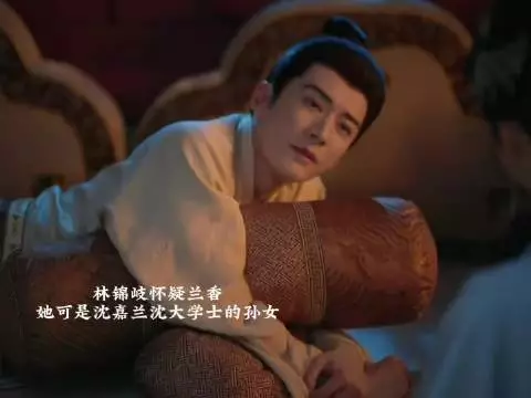 原来这里林锦岐就已经怀疑兰香了，问她怎么对律法那么熟悉，被兰香糖塞过去了
