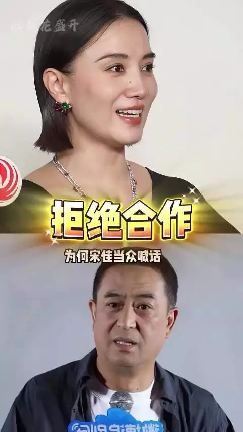 为何宋佳当众坦言不愿再跟张嘉益搭戏?