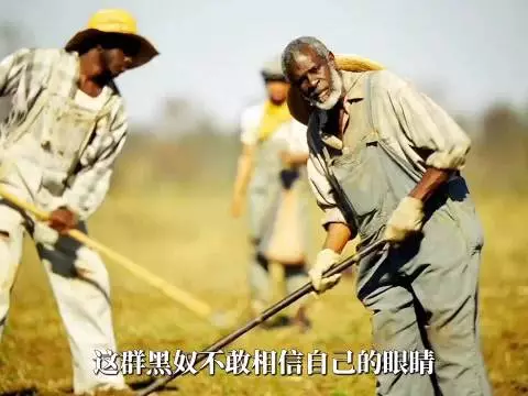 世界不只有白人,钢琴不只有白键