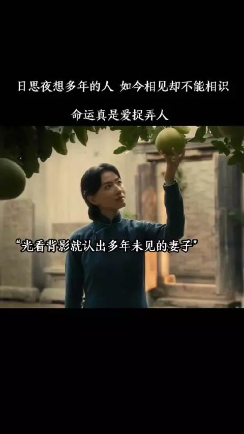日思夜想多年的人，如今相见却不能相识，命运真是爱捉弄人