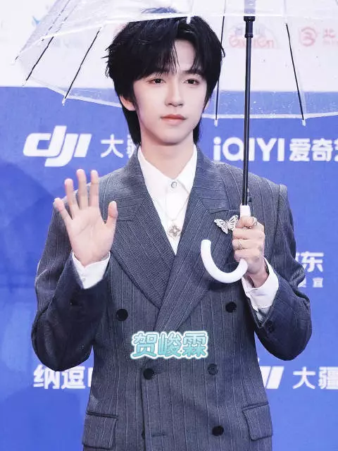 20260416北影节开幕红毯,贺峻霖