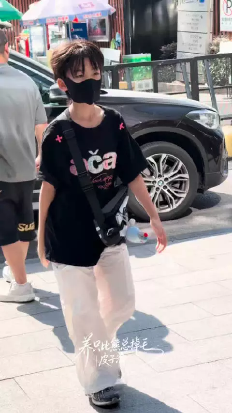 皮子渝樱花退绿叶浪漫藏花期